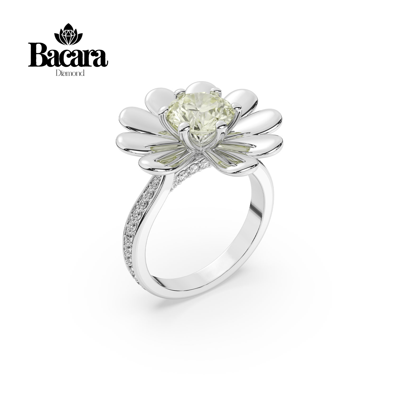 4-Nhan-Aureldaisy-GD-VNU237